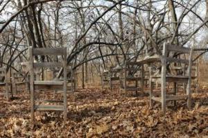 Hugh Hayden’s Brier Patch features an outdoor classroom, but the desks are tangled in tree branches.